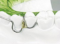 European Orthodontic Product